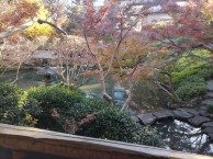 DSC_1348_R DSC_1348_R-e1738714170581